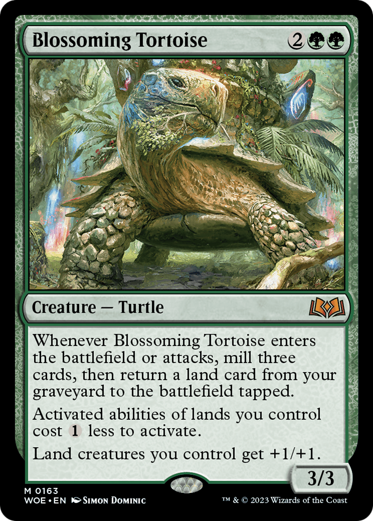 woe-163-blossoming-tortoise